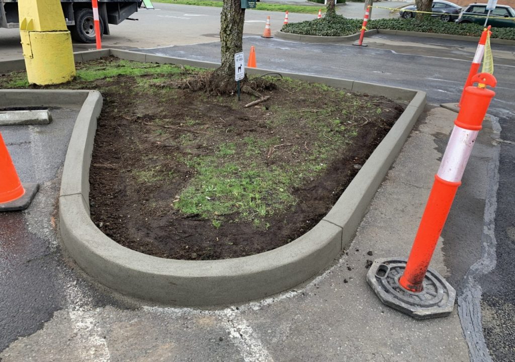 Curb Installation Fort Collins
